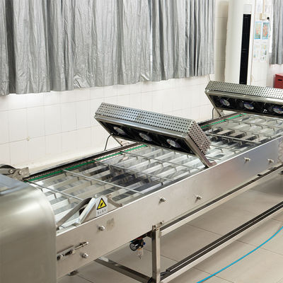 Automatyczny przenośnik chłodzący do przetwarzania przemysłowego 220V 380V Zasilanie