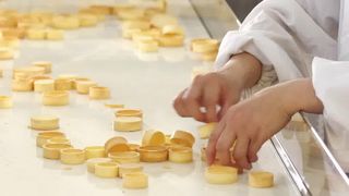 Automatyczna linia produkcyjna Tart Shell